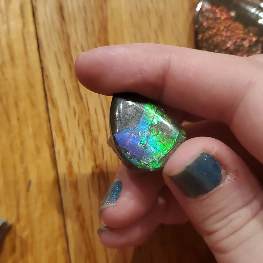 Ammolite fossil lot - Picture 8 of 12